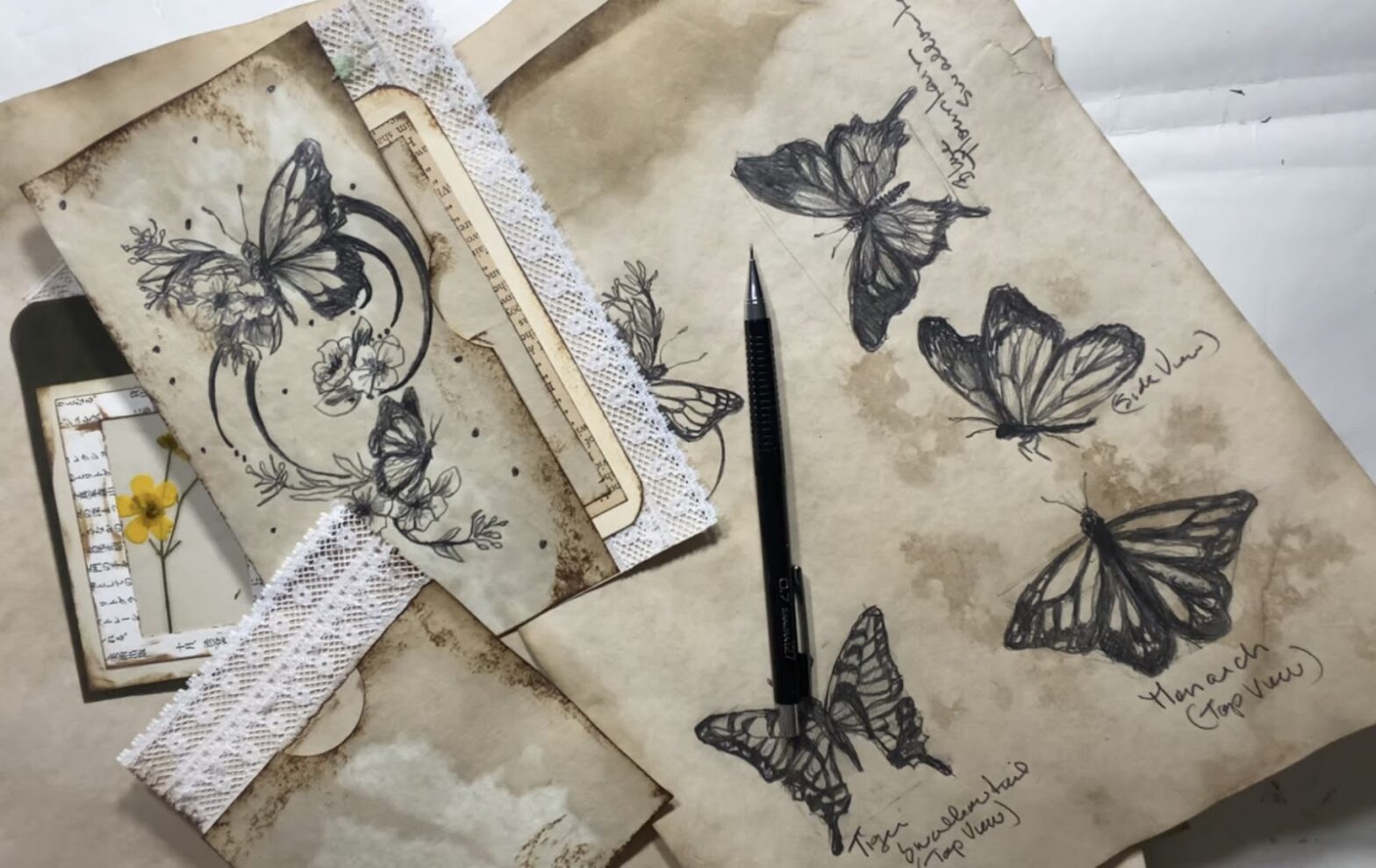 A vintage-inspired artistic workspace featuring aged paper with black ink sketches of butterflies