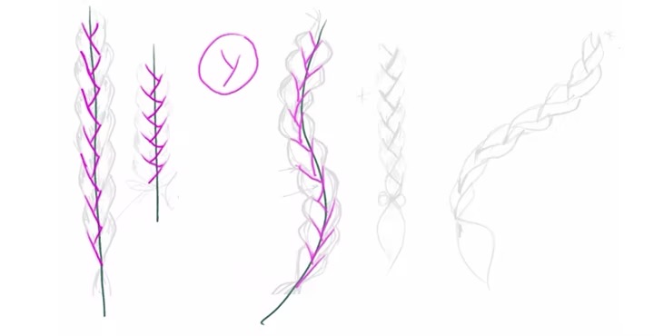 Outline drawing of braids