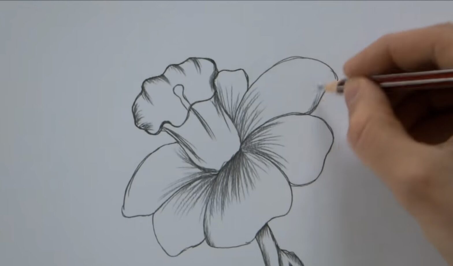 A hand drawing a flower