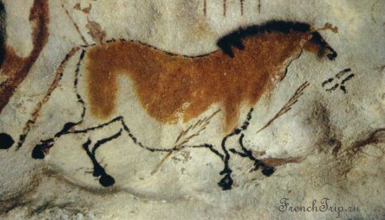 Horse, Lascaux Cave